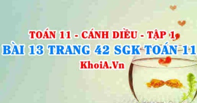 Bài 13 trang 42 SGK Toán 11 tập 1 Cánh Diều